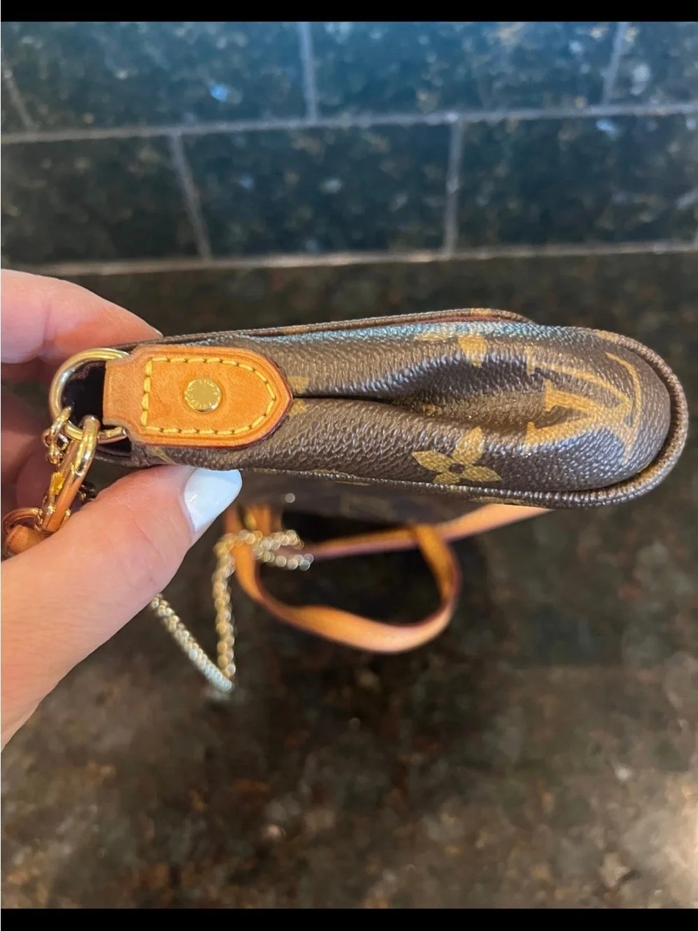 Louis Vuitton Favorite PM Monogram purse – Discontinued Style